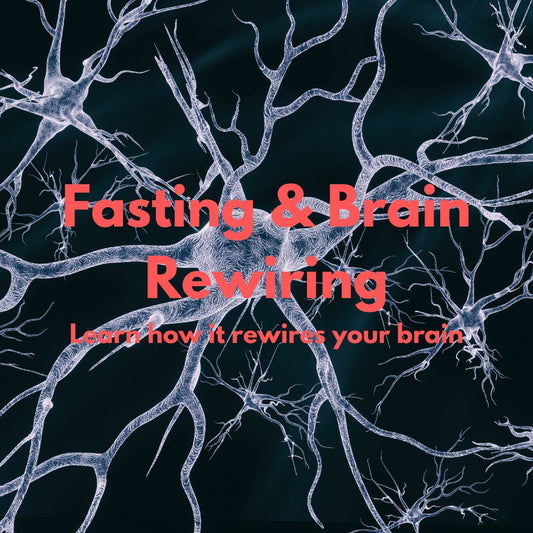 Fasting and Rewiring the Brain: A Path to Mental Clarity and Enhanced Focus