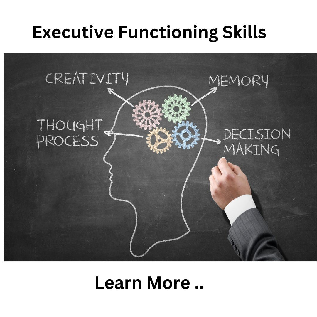 Understanding Executive Functioning and How Programs Like Fast ForWord, Cogmed, and Cognifit Can Help