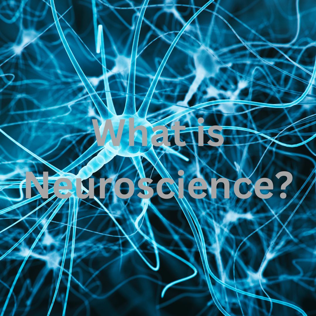 Neuroscience: The Buzzword of Modern Science – What Is It and Why It Matters?