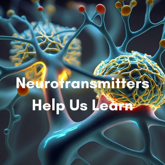 How Neurotransmitters Help Us Learn More Effectively